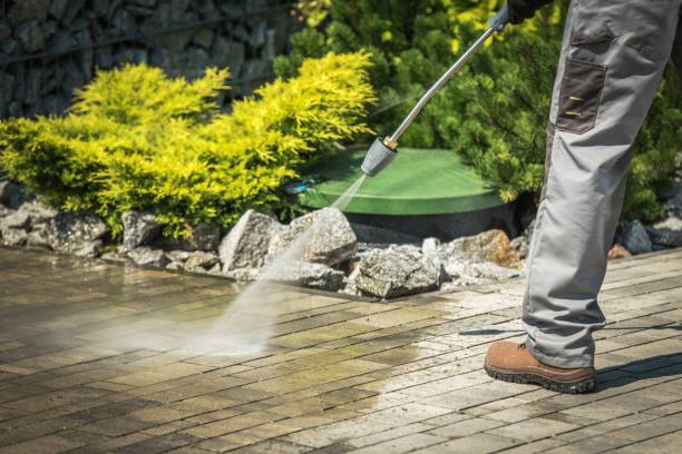 Best House Exterior Washing  in Walden, NY
