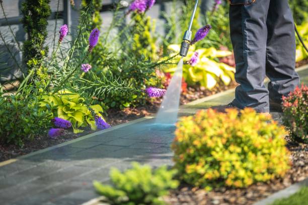 Best Gutter Cleaning  in Walden, NY